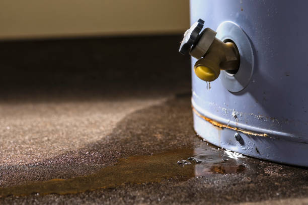 Best Carpet water damage restoration  in Hillside Lake, NY