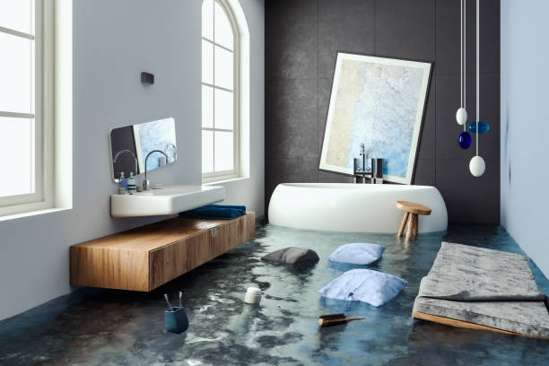 Best Professional water damage repair  in Hillside Lake, NY