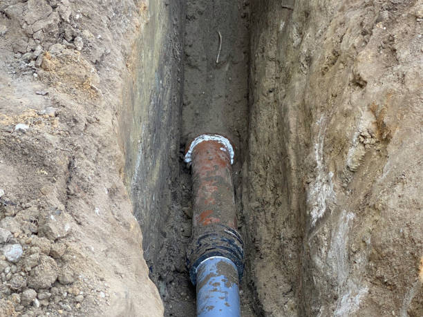 Best Local water damage restoration  in Hillside Lake, NY