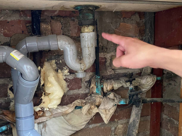 Best Water damage restoration near me  in Hillside Lake, NY