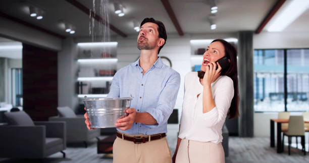 Best Fire Damage Restoration  in Hillside Lake, NY