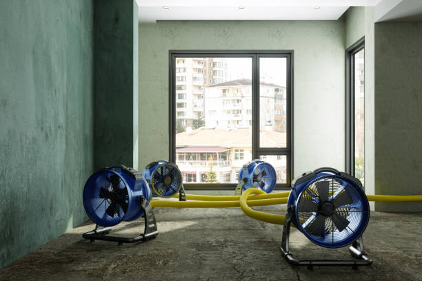 Best 24/7 water damage repair  in Hillside Lake, NY